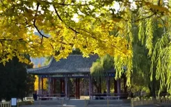 北京朝阳秋天小众景点有哪些