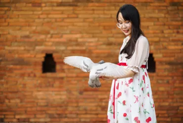 泰国有哪些好玩的 泰国有那些美食 泰国有哪些好玩的 泰国有那些美食