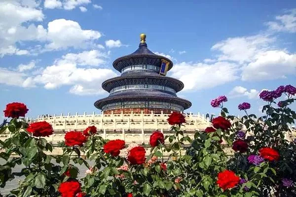 北京春季赏花的地方有哪些 北京赏花攻略