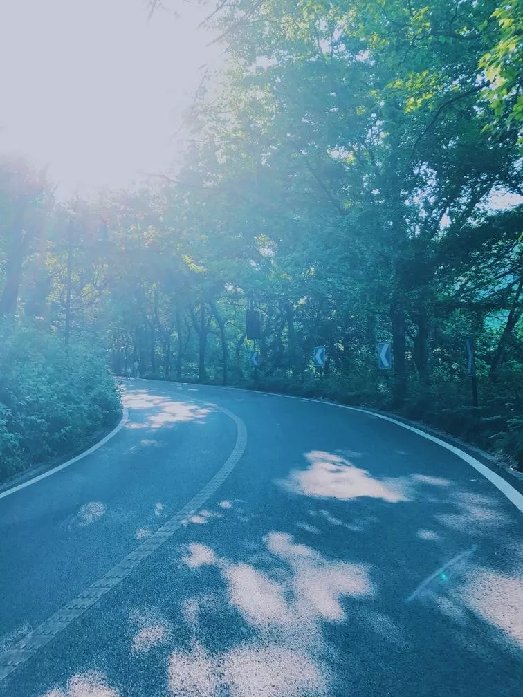 上海和杭州哪个好玩 上海和杭州哪个好玩