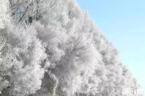 仟睿达冰雪世界门票 什么时候开放+交通
