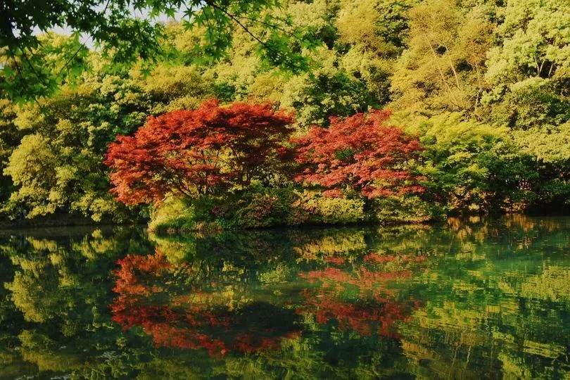 上海和杭州哪个好玩 上海和杭州哪个好玩