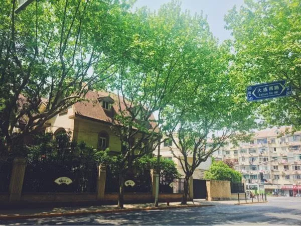 不一样的上海大都市 不一样的上海大都市