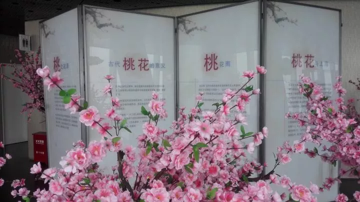 上海中心大厦好玩吗 上海中心大厦怎么去旅游攻略 上海中心大厦好玩吗 上海中心大厦怎么去旅游攻略