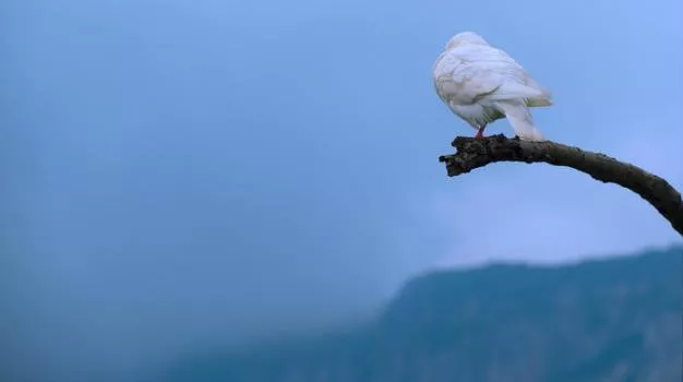 昆明旅游景点大全排名