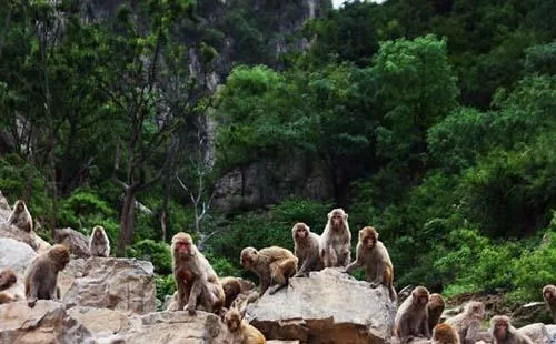 晋城旅游景点有哪些+景点介绍