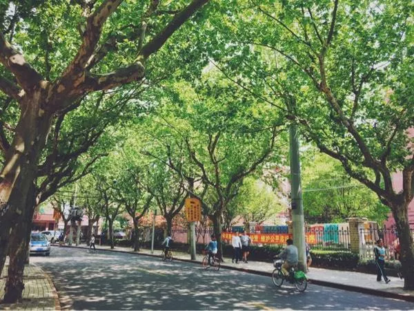 不一样的上海大都市 不一样的上海大都市