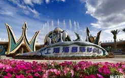 2020上海海昌海洋公园春节有什么活动