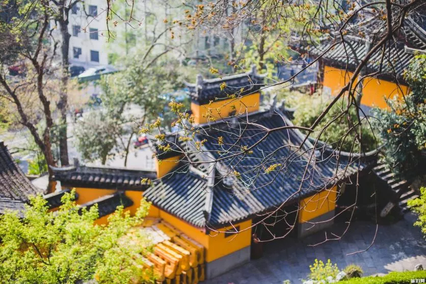 2019南京公园年卡价格+景点 2019南京公园年卡价格+景点