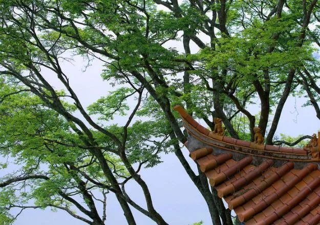 昆明旅游景点大全排名 昆明旅游景点大全排名