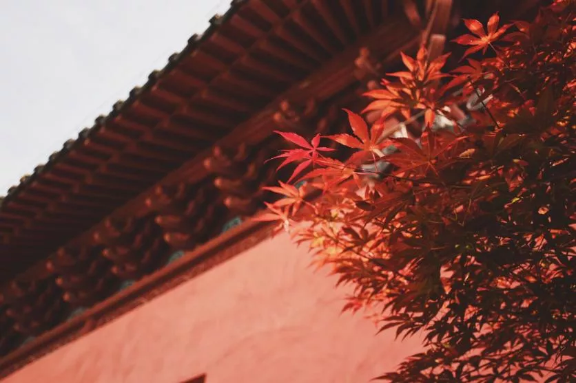 上海和杭州哪个好玩 上海和杭州哪个好玩