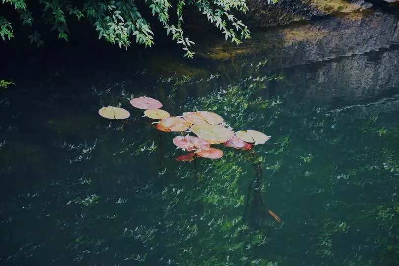 上海和杭州哪个好玩 上海和杭州哪个好玩