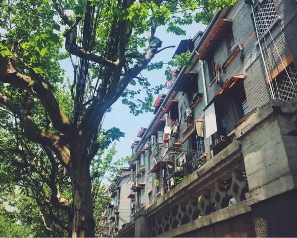 不一样的上海大都市 不一样的上海大都市