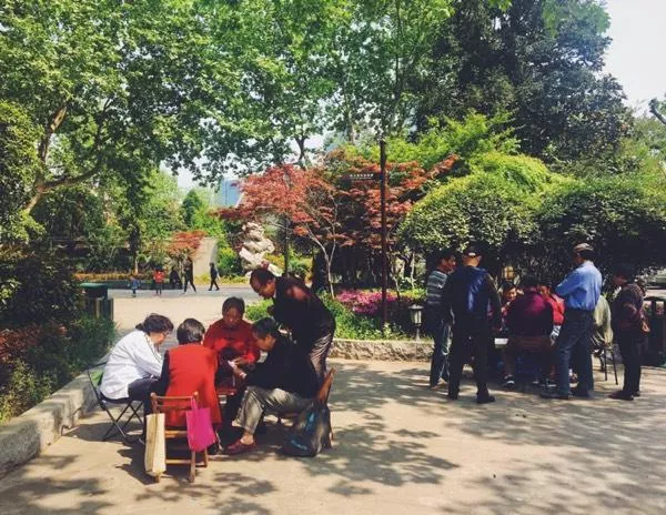 不一样的上海大都市 不一样的上海大都市
