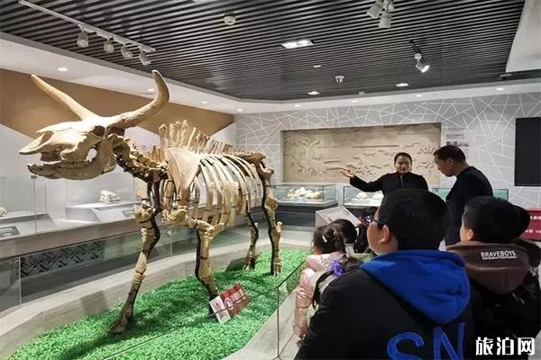 白银市博物馆可以带宠物进去吗 附2020年春节活动安排