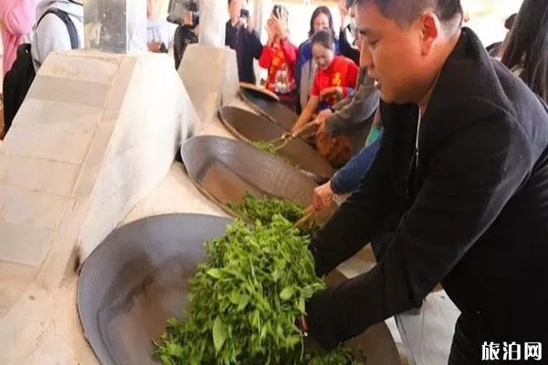 2020云南高黎贡山茶博园对全体医护人员免费开放