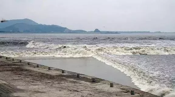 杭州有哪些适合一日游的免费景点推荐