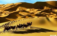 巴丹吉林沙漠 交通