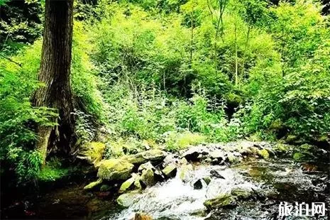 2019黑龙江凤凰山6月17日免门票 附游玩攻略