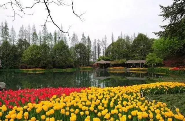 杭州有哪些适合一日游的免费景点推荐 杭州有哪些适合一日游的免费景点推荐