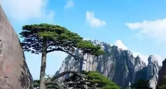 中国景区门票最贵的有哪些 中国景区门票最贵的有哪些