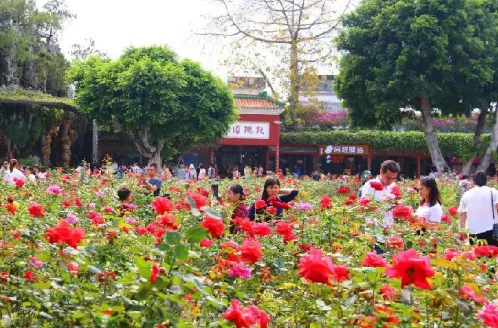 2018中国旅游日广州宝墨园门票价格 2018中国旅游日广州宝墨园门票价格