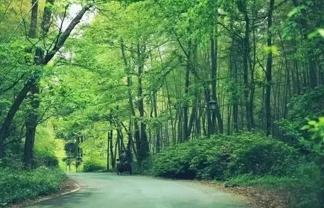 杭州有哪些适合一日游的免费景点推荐 杭州有哪些适合一日游的免费景点推荐