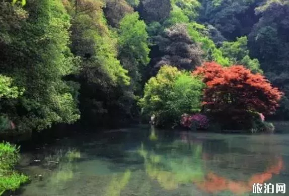 杭州最值得一日游的免费景点推荐