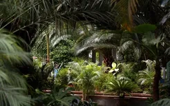 2022天津热带植物观光园门票多少钱 附最新开放时间及地址