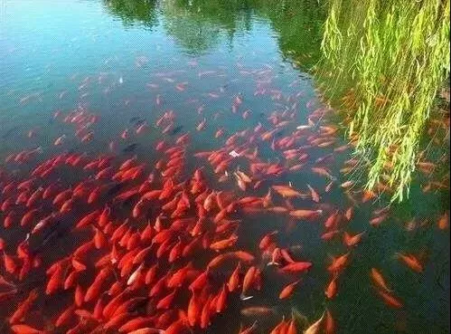 杭州有哪些适合一日游的免费景点推荐 杭州有哪些适合一日游的免费景点推荐