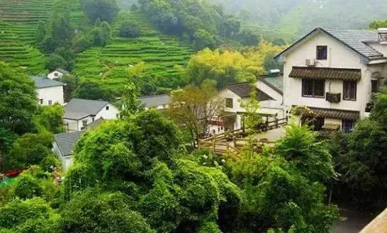杭州有哪些适合一日游的免费景点推荐 杭州有哪些适合一日游的免费景点推荐