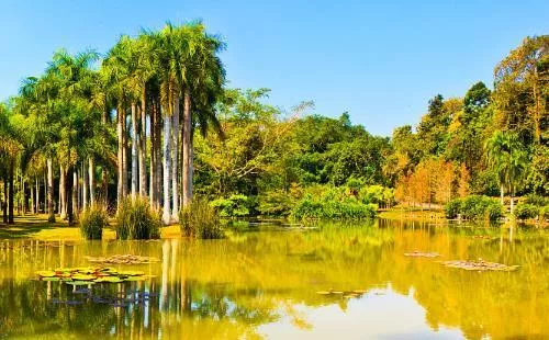西双版纳热带植物园门票多少钱+优惠政策2018 西双版纳热带植物园门票多少钱+优惠政策2018