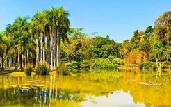 西双版纳热带植物园门票多少钱+优惠政策2018