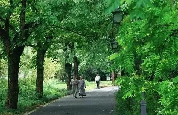 杭州有哪些适合一日游的免费景点推荐 杭州有哪些适合一日游的免费景点推荐