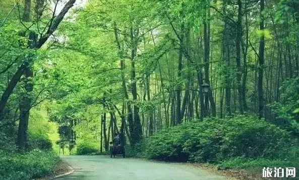 杭州最值得一日游的免费景点推荐