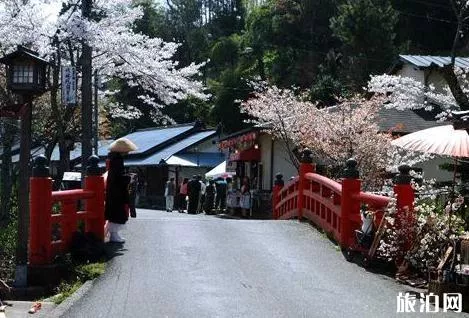 日本在留资格和签证怎么办理