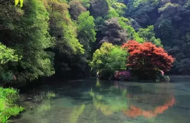 杭州有哪些适合一日游的免费景点推荐