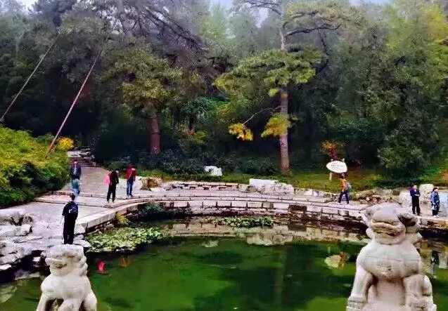 北京香山红叶什么时候看最合适 北京香山红叶什么时候看最合适
