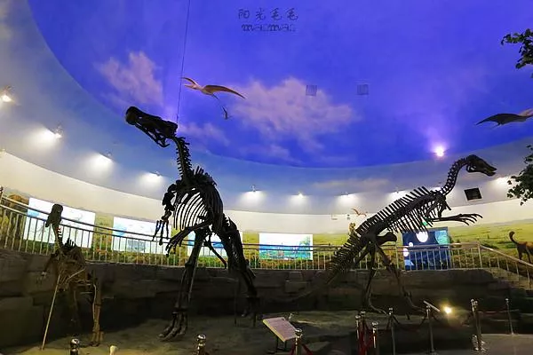 北京恐龙博物馆在哪里 北京恐龙博物馆怎么去