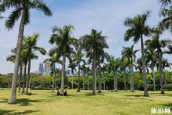 厦门白鹭洲公园旅游攻略2020 厦门白鹭洲公园旅游攻略2020