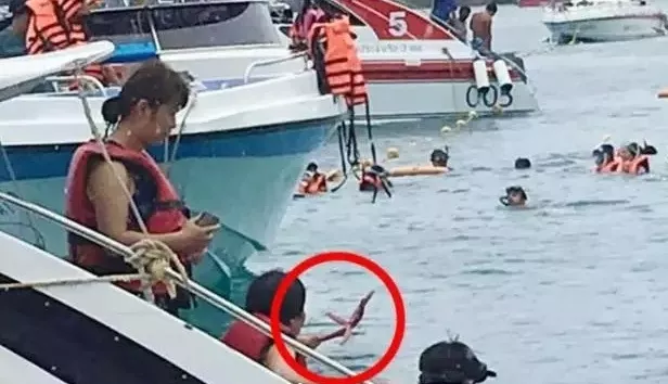 在泰国抓海星拍照违法吗 在泰国抓海星拍照违法吗