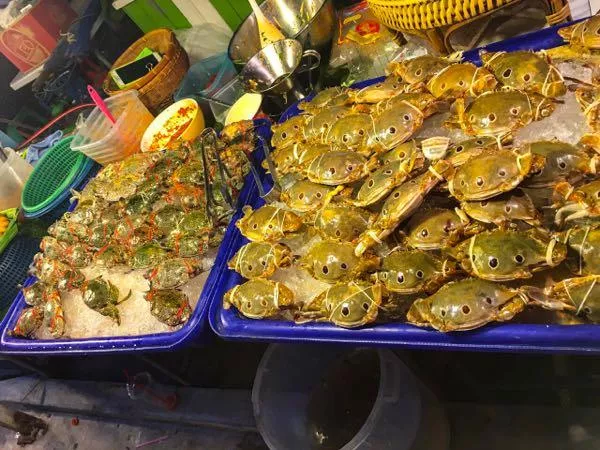 泰国芭提雅有机场吗 泰国芭提雅有免税店吗 泰国芭提雅有机场吗 泰国芭提雅有免税店吗