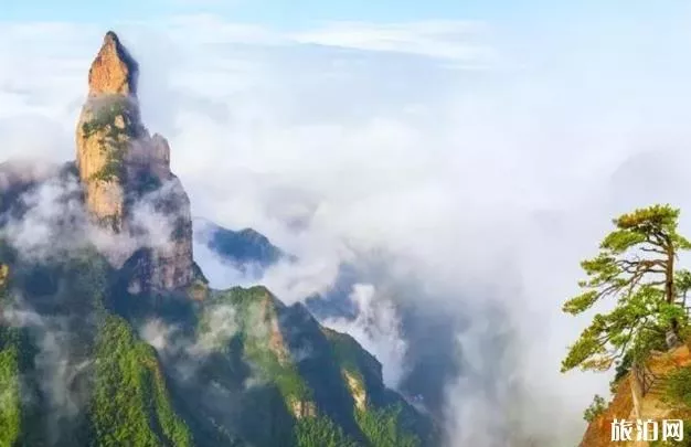 神仙居风景区旅游攻略详细版