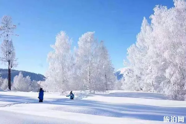 新疆冬季旅游费用和攻略 这份9日游路线可以看看