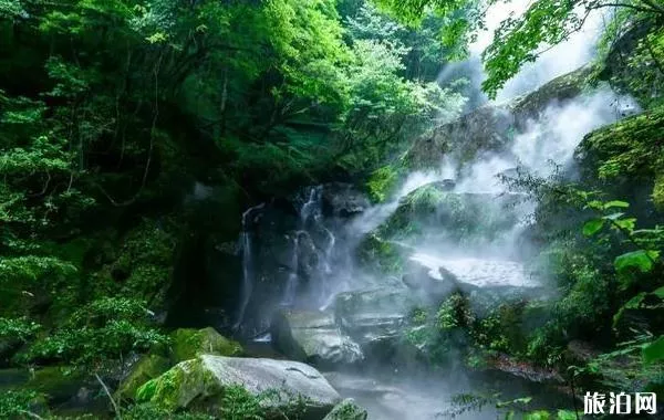 木王山国家森林公园门票多少钱 2020木王山半价优惠政策