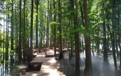 武汉东湖落雁景区2022年7月1日正式开放