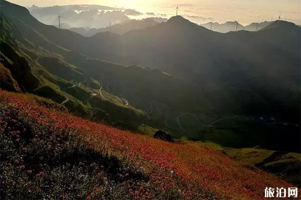 韭菜坪旅游景区免费游玩吗 自驾+停车收费+路况2019