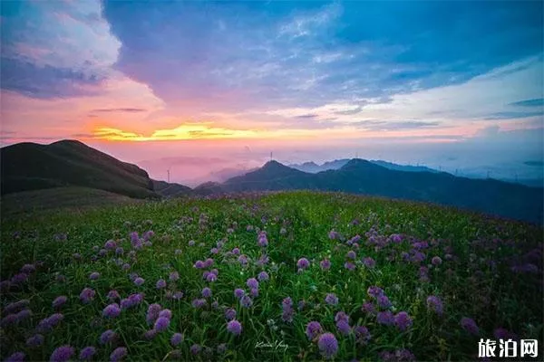 韭菜坪旅游景区免费游玩吗 自驾+停车收费+路况2019