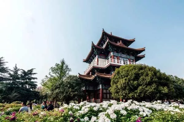 洛阳牡丹最佳观赏时间 洛阳赏花攻略 洛阳牡丹最佳观赏时间 洛阳赏花攻略