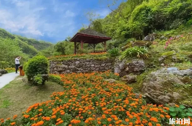 汶川五月赏花去哪里-门票地址及交通指南